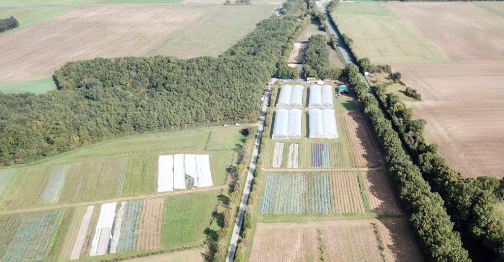 Jardin de Cocagne Arozoaar en CharenteMaritime